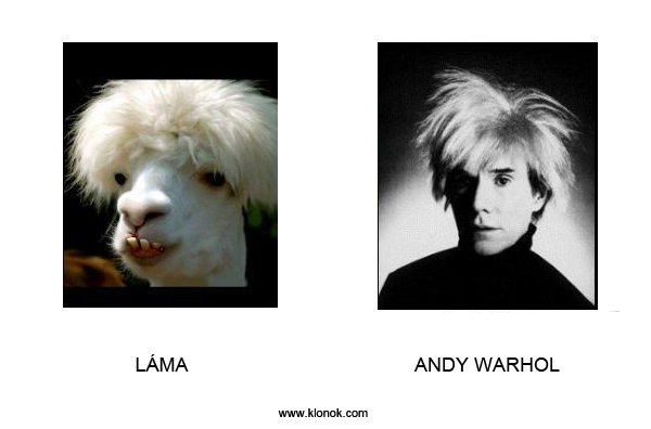 Láma-Warhol
 
Láma - Andy Warhol