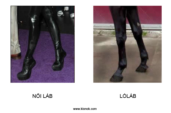 Lábak Lábak
N?i láb - Lóláb.