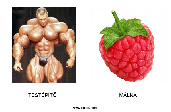 Testépít?-Málna
 
