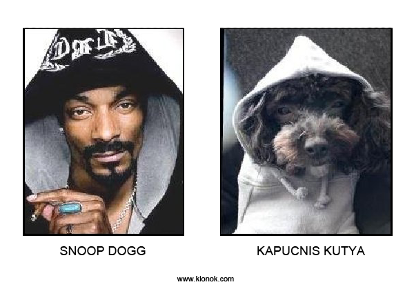Snoop Dogg - Kapucnis kutya
 
Snoop Dogg - Kapucnis kutya