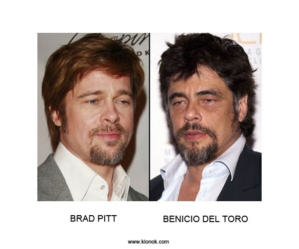 Brad Pitt - Benicio del Toro
 

