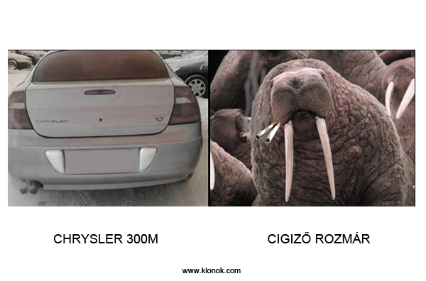 Chrysler-Rozmár
 
