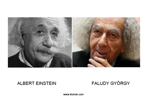 Einstein-Faludy
 
