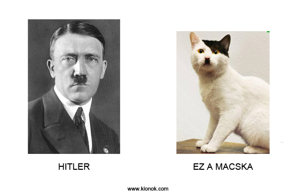 Hitler-Macska
 
Hitler - Macska