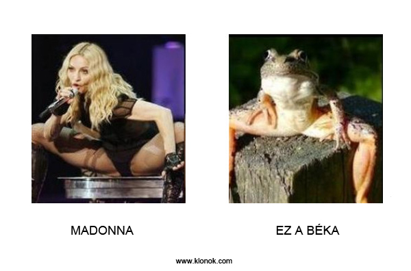 Madonna-Béka
 
Madonna - Béka