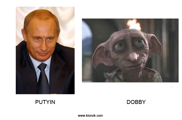 Putyin-Dobby
 
Putyin - Dobby
