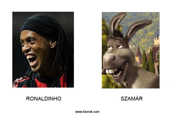 Ronaldinho-Szamár
 
