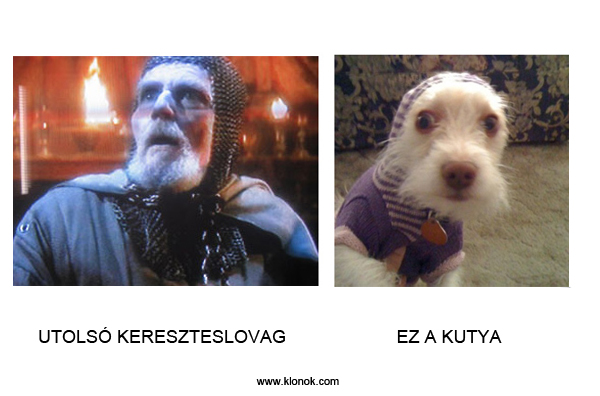 Kereszteslovag-Kutya
 
Utolsó kereszteslovag - Kutya.