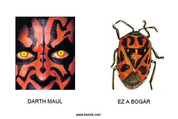Darth Maul - Bogár
 
