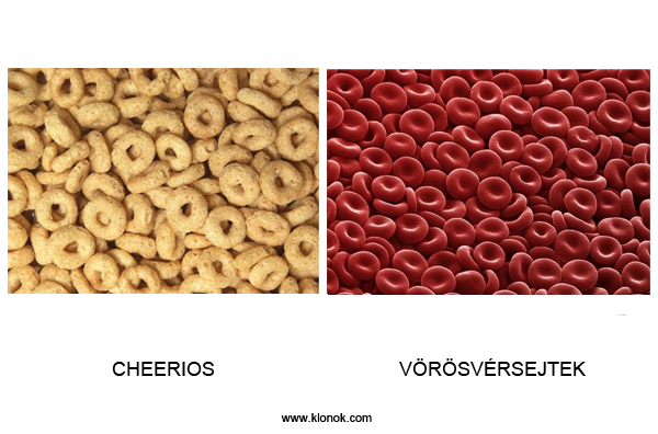 Cheerios - Vörösvérsejtek
 
