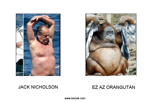 Jack Nicholson - Orángután
 
