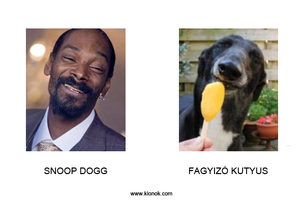 Snoop Dogg - Fagyizó Kutyus
 
